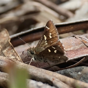 Unverified at suppressed - suppressed