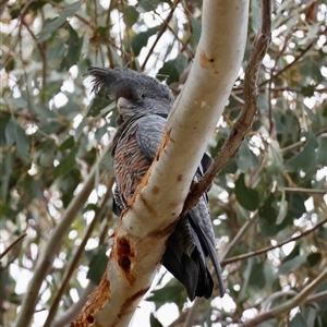 Unverified at suppressed - suppressed