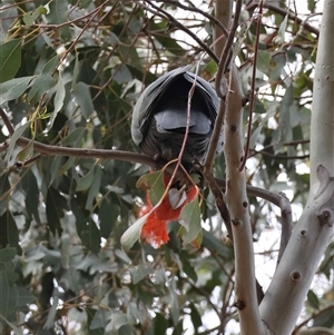 Unverified at suppressed - suppressed