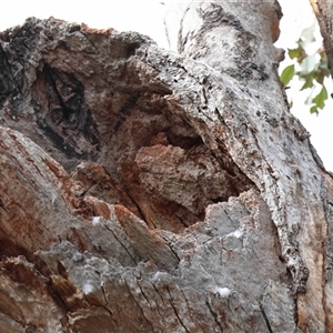 Unverified at suppressed - suppressed