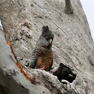 Unverified at suppressed - suppressed