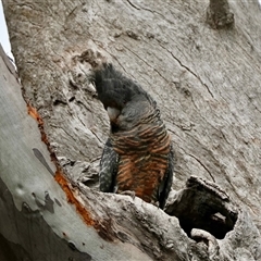 Unverified at suppressed - suppressed