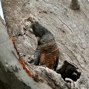 Unverified at suppressed - suppressed