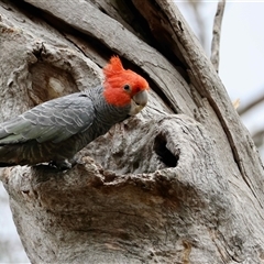 Unverified at suppressed - suppressed