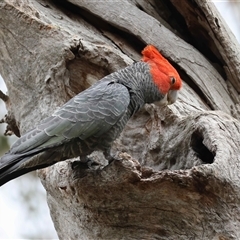 Unverified at suppressed - suppressed