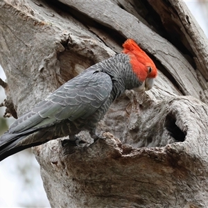 Unverified at suppressed - suppressed