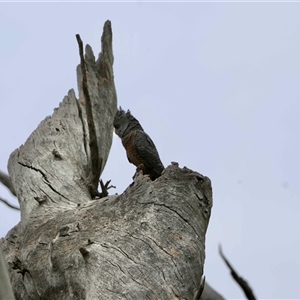 Unverified at suppressed - suppressed