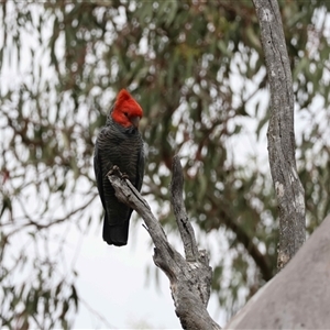 Unverified at suppressed - suppressed