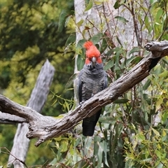 Unverified at suppressed - suppressed