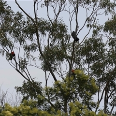 Unverified at suppressed - suppressed