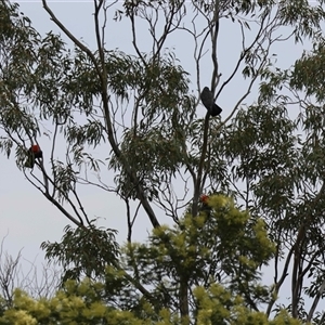 Unverified at suppressed - suppressed