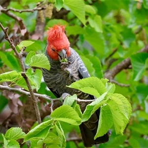 Unverified at suppressed - suppressed