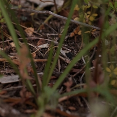 Unverified at suppressed - suppressed