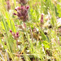 Unverified at suppressed - suppressed