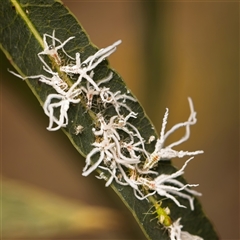 Unverified at suppressed - suppressed