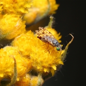 Unverified at suppressed - suppressed