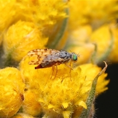 Unverified at suppressed - suppressed