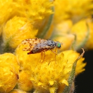 Unverified at suppressed - suppressed