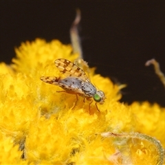 Unverified at suppressed - suppressed