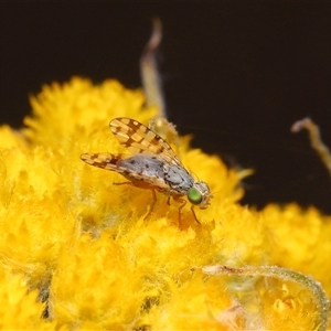 Unverified at suppressed - suppressed