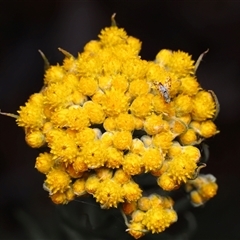 Unverified at suppressed - suppressed