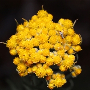 Unverified at suppressed - suppressed