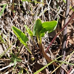 Unverified at suppressed - suppressed