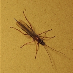 Unverified at suppressed - suppressed