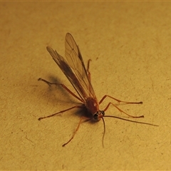 Unverified at suppressed - suppressed