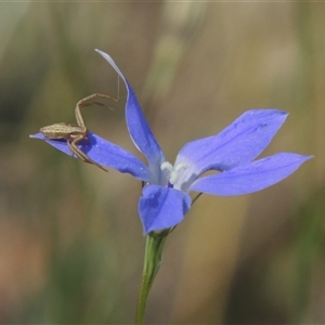 Unverified at suppressed - suppressed