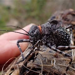 Unverified at suppressed - suppressed