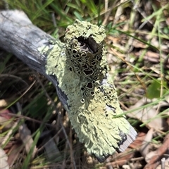 Unverified at suppressed - suppressed