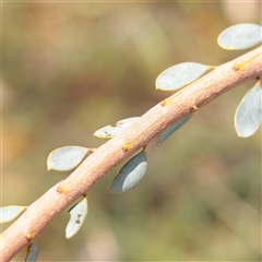 Unverified at suppressed - suppressed