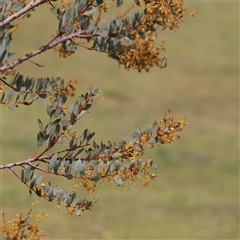 Unverified at suppressed - suppressed