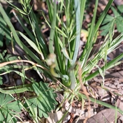 Unverified at suppressed - suppressed