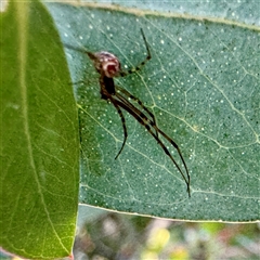 Unverified at suppressed - suppressed