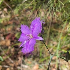 Unverified at suppressed - suppressed