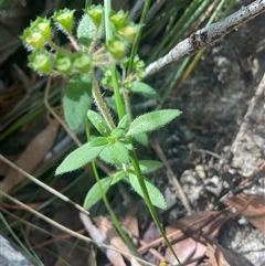 Unverified at suppressed - suppressed