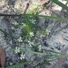 Unverified at suppressed - suppressed