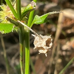 Unverified at suppressed - suppressed