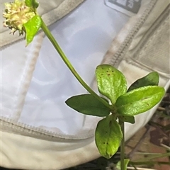 Unverified at suppressed - suppressed