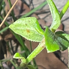 Unverified at suppressed - suppressed