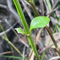 Unverified at suppressed - suppressed