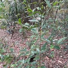 Unverified at suppressed - suppressed