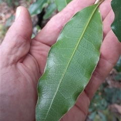 Unverified at suppressed - suppressed