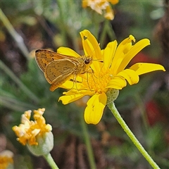 Unverified at suppressed - suppressed