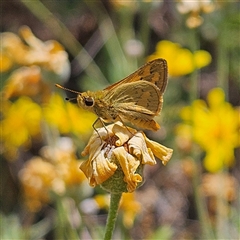 Unverified at suppressed - suppressed