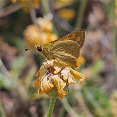 Unverified at suppressed - suppressed