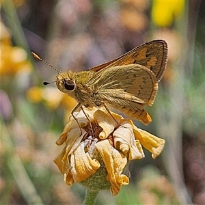 Unverified at suppressed - suppressed