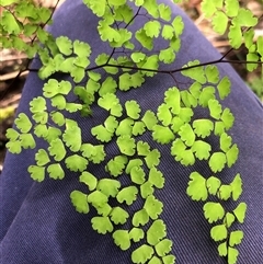 Unverified at suppressed - suppressed